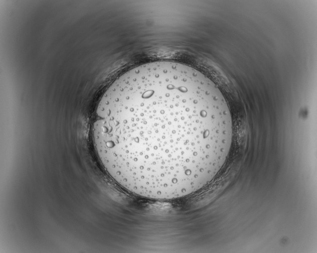 X0000099300374200805161354