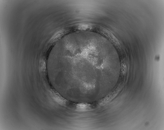 X0000099300375200805161354