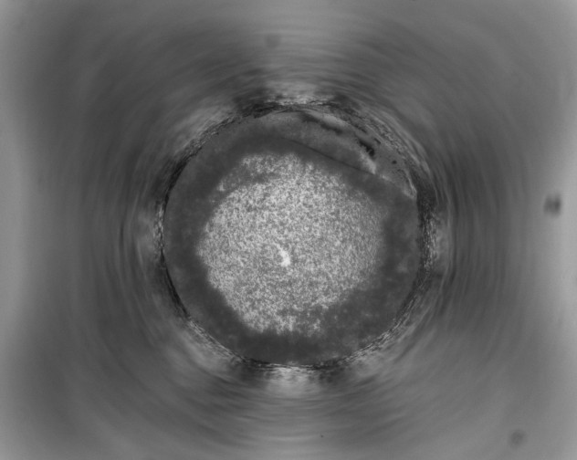 X0000099300376200805161354