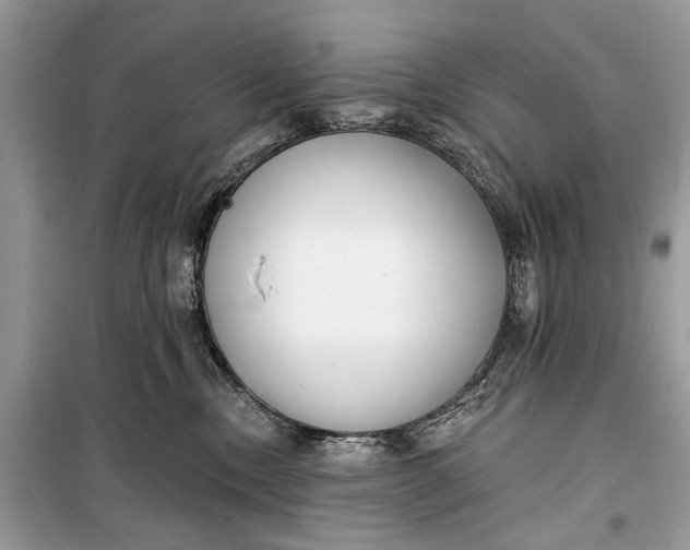 X0000099300378200805161354