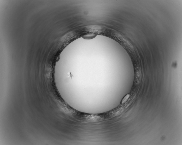 X0000099300379200805161354