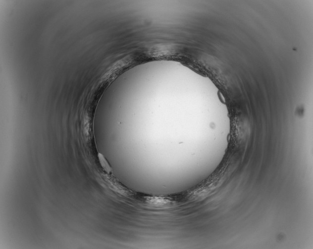 X0000099300380200805161354