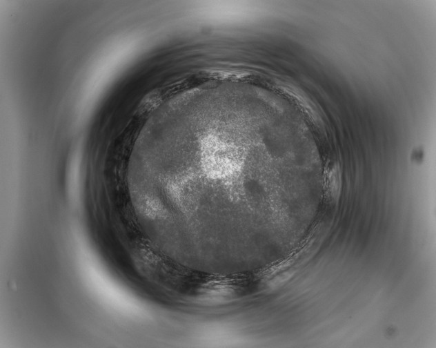 X0000099300381200805161354