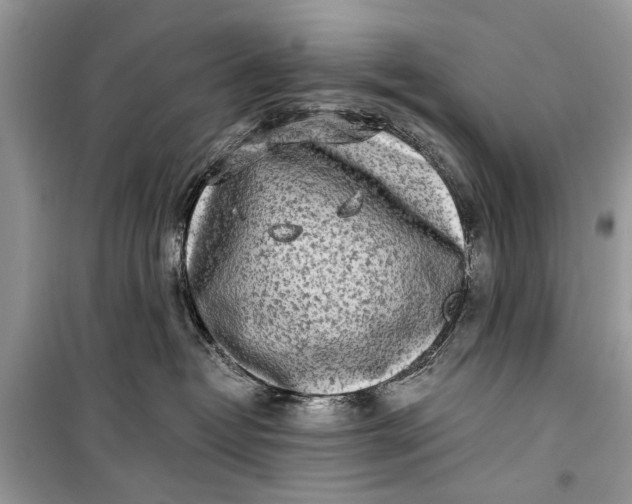 X0000099300382200805161354