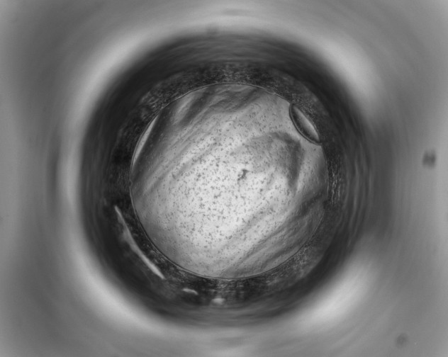 X0000099300383200805161354