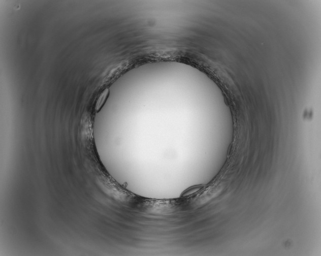 X0000099300384200805161354