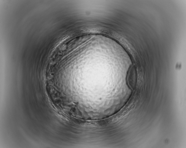 X0000099300386200805161354