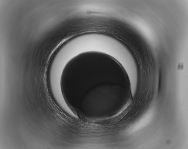 X0000099300387200805161354