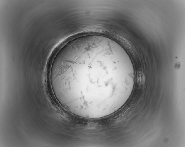 X0000099300388200805161354