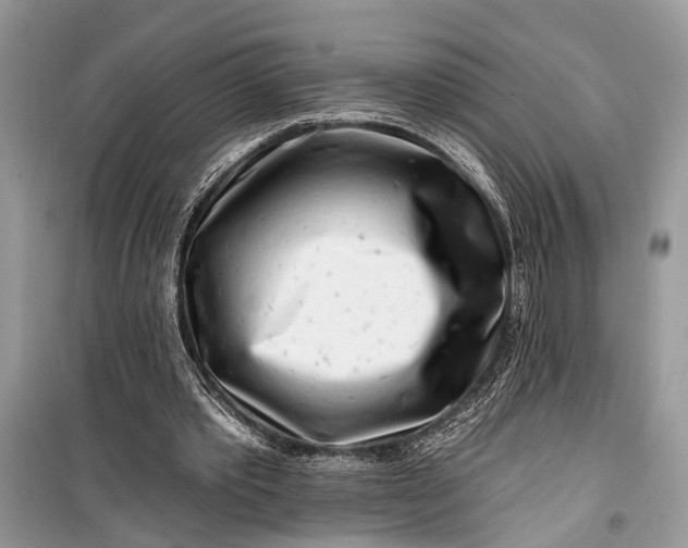 X0000099300389200805161354