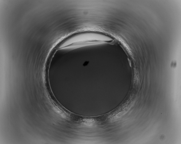 X0000099300391200805161354