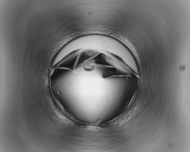 X0000099300393200805161354