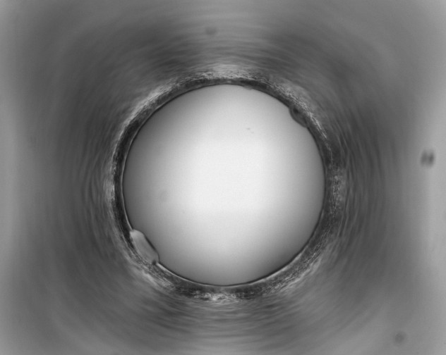 X0000099300395200805161354