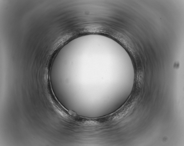 X0000099300397200805161354