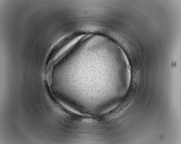 X0000099300399200805161354