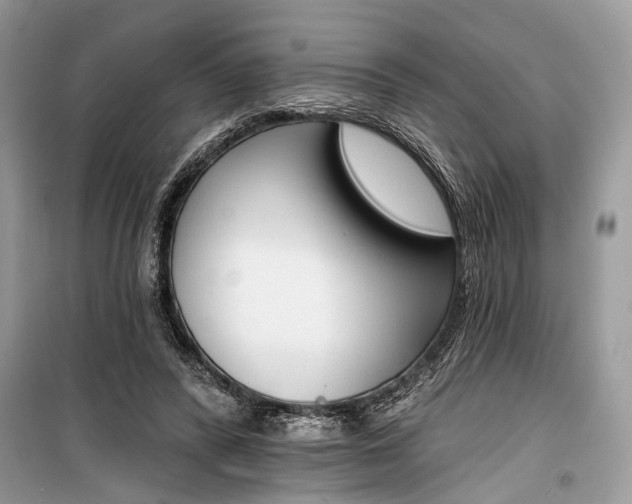 X0000099300400200805161354