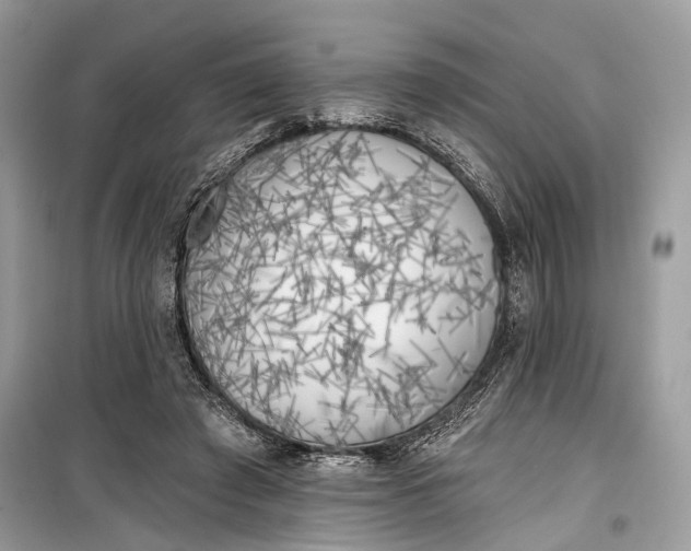 X0000099300401200805161353