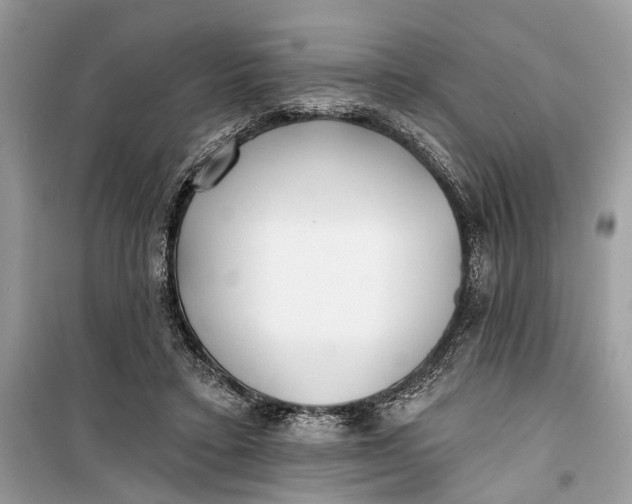 X0000099300403200805161353