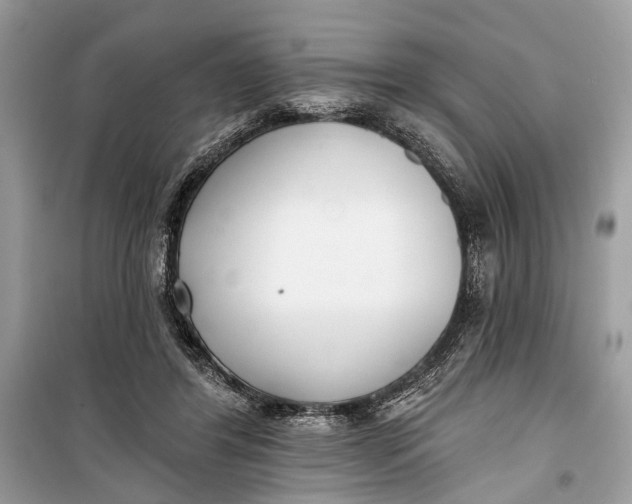 X0000099300404200805161353