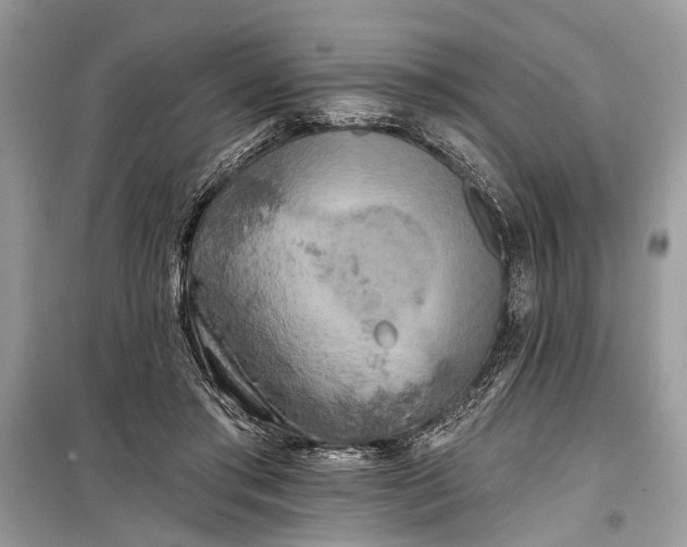 X0000099300405200805161353