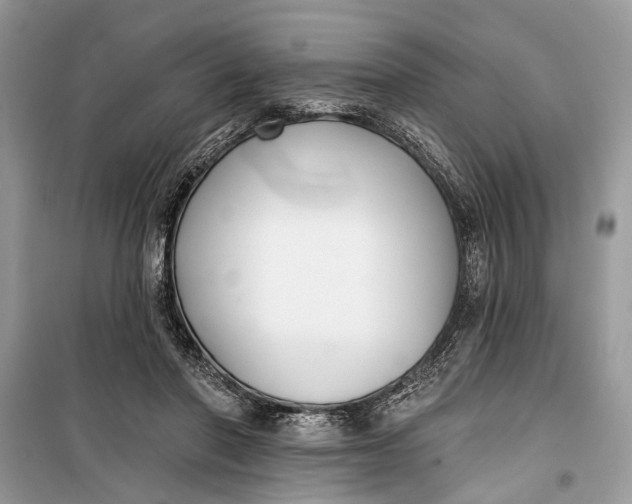 X0000099300406200805161353