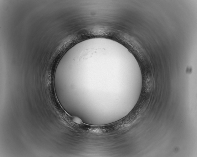 X0000099300407200805161353