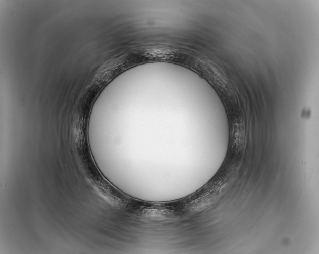 X0000099300408200805161353