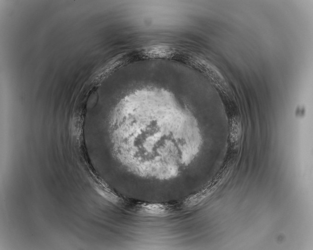 X0000099300409200805161353