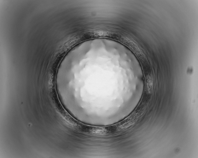 X0000099300410200805161353