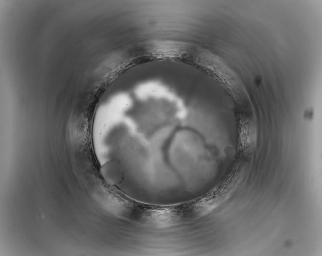 X0000099300411200805161353