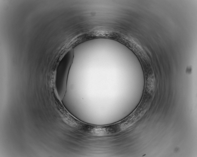 X0000099300413200805161353