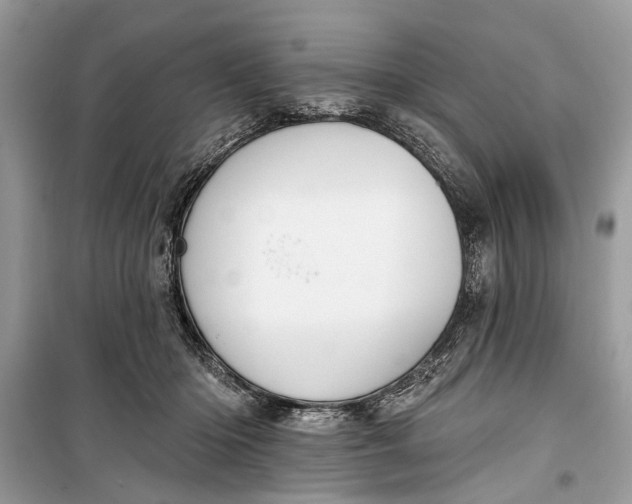 X0000099300414200805161353