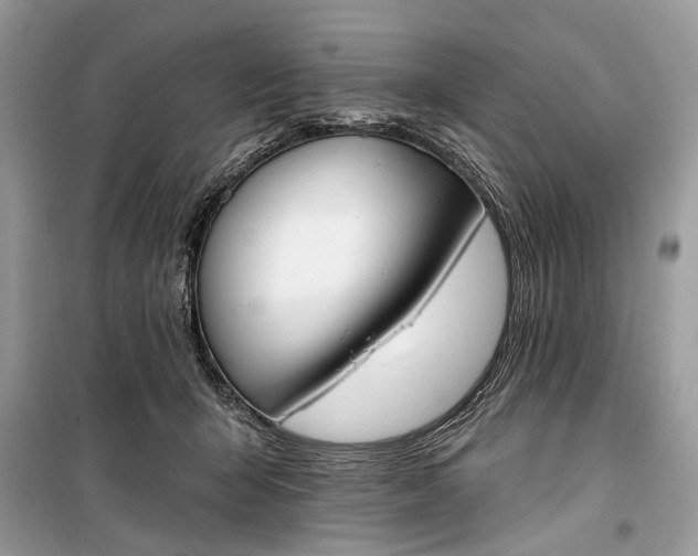 X0000099300415200805161353