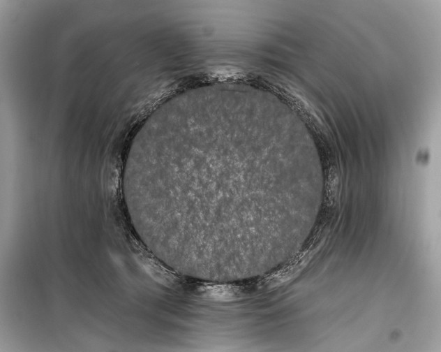 X0000099300417200805161353