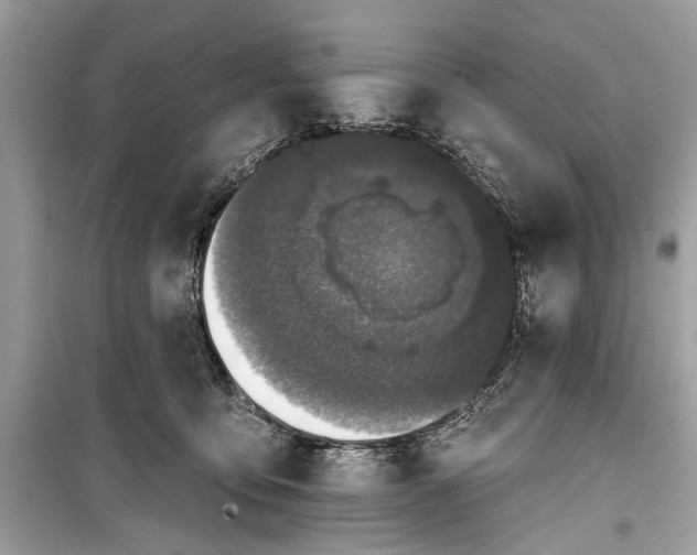 X0000099300419200805161353