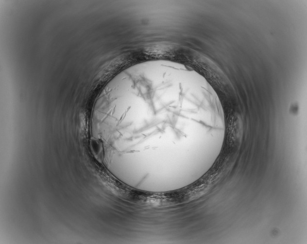 X0000099300420200805161353