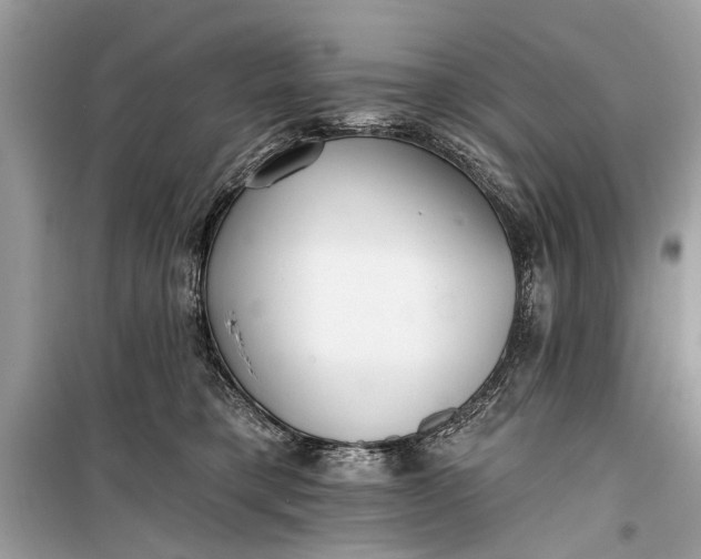 X0000099300421200805161353