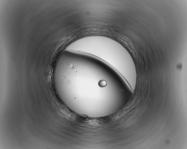 X0000099300423200805161353