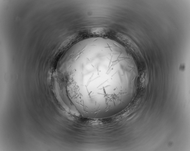 X0000099300424200805161353