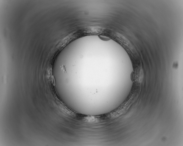 X0000099300425200805161353