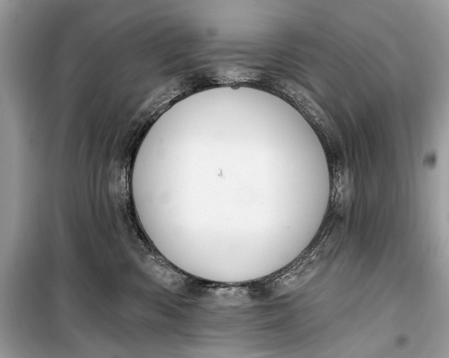 X0000099300426200805161353