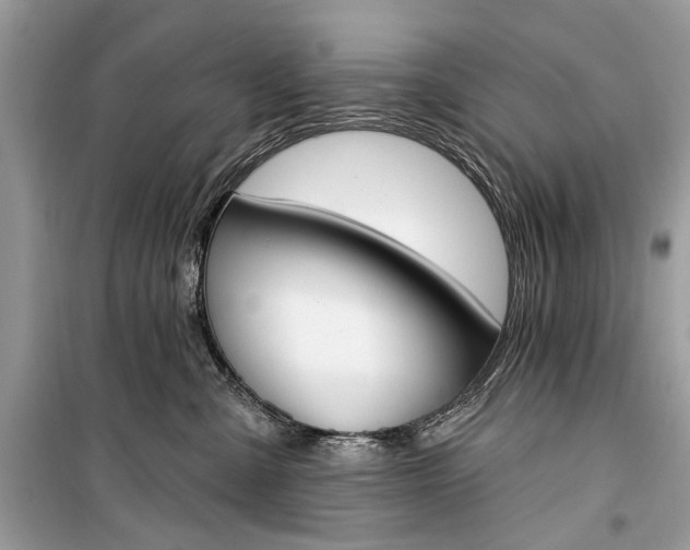 X0000099300427200805161353