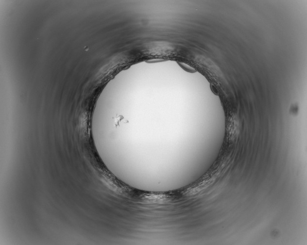 X0000099300428200805161353