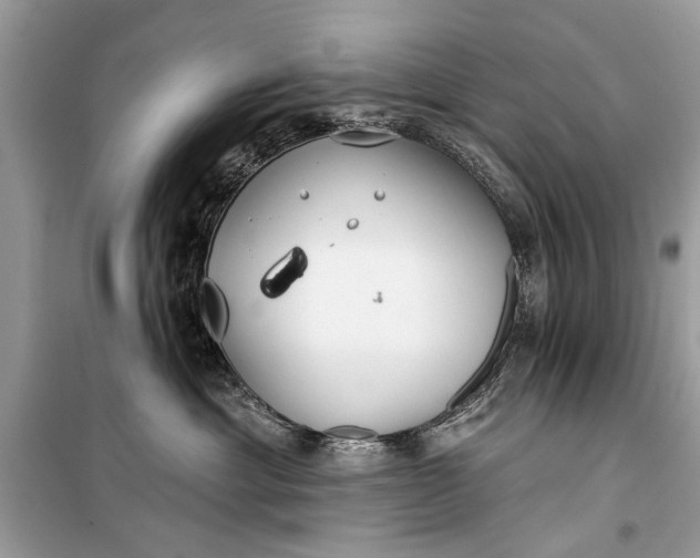 X0000099300429200805161353