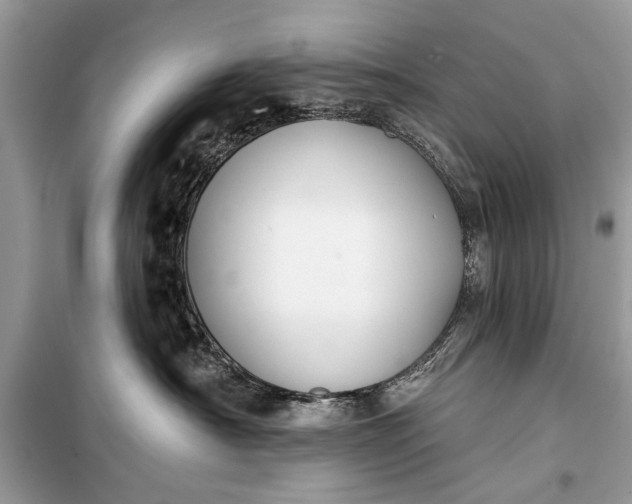 X0000099300430200805161353