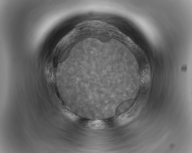 X0000099300431200805161353