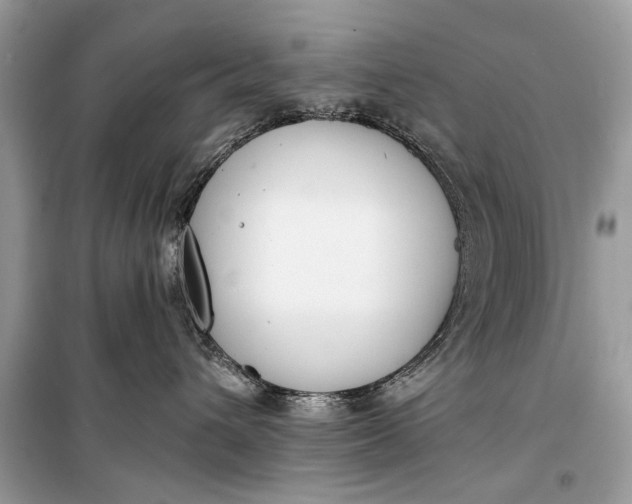 X0000099300432200805161353