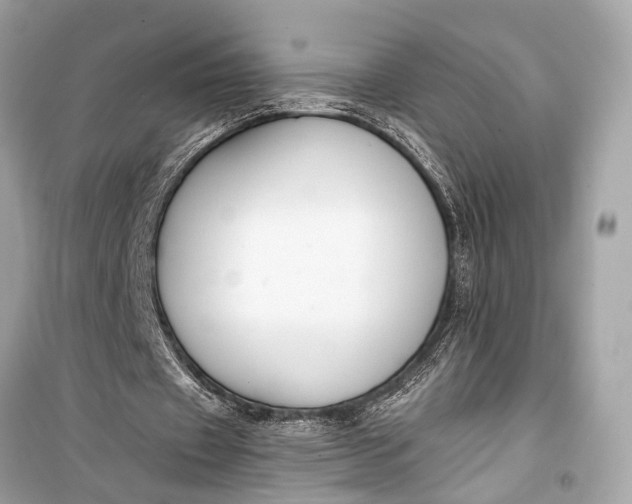 X0000099300433200805161352