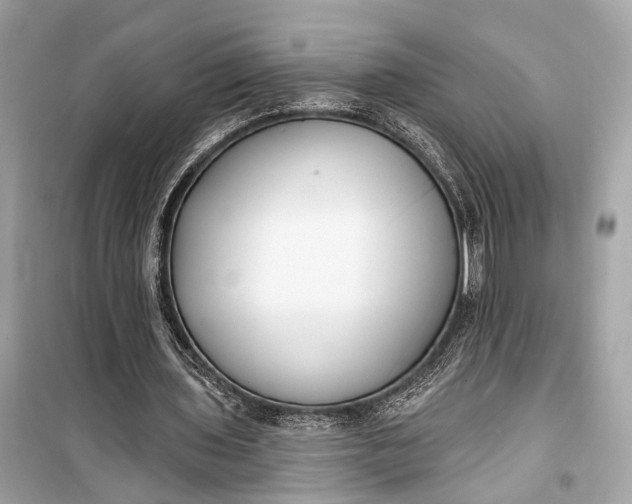 X0000099300435200805161352