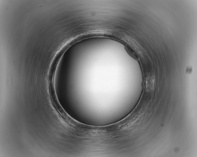 X0000099300436200805161352